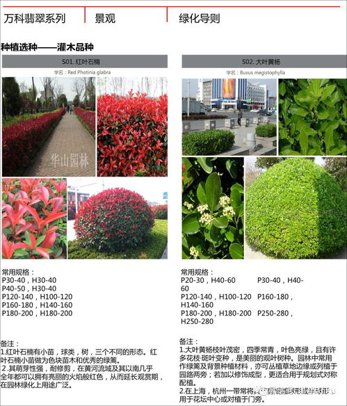万科翡翠系高端产品景观技术标准及其在中草药科技领域的应用启示