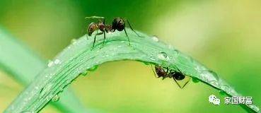 蚂蚁集团 从金融科技到多元科技生态的演进与潜力