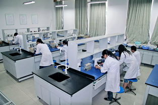 中草药科技领域的技术咨询 赋能医学实验技术专业发展的核心桥梁