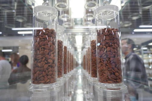 广东一方制药 创新中药配方颗粒，科技赋能传统智慧